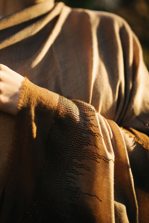 Embellished Cashmere Scarf in Beige and Brown