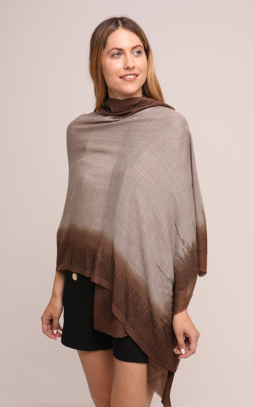Embellished Cashmere Scarf in Beige with Brown border