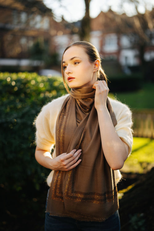 Embellished Cashmere Scarf in Beige with Brown border