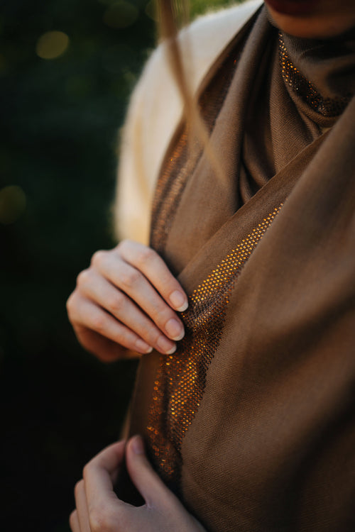 Embellished Cashmere Scarf in Beige with Brown border