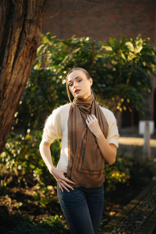 Embellished Cashmere Scarf in Beige with Brown border