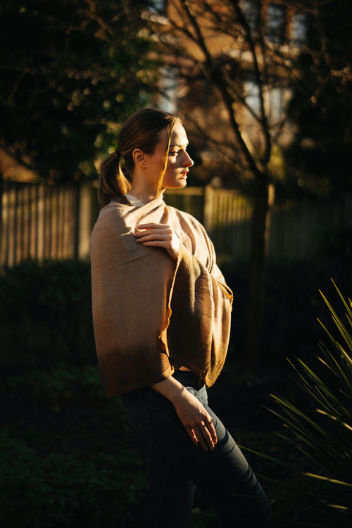 Embellished Cashmere Scarf in Beige and Brown