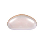 Ivory Clutch with Swarovski Embellishments